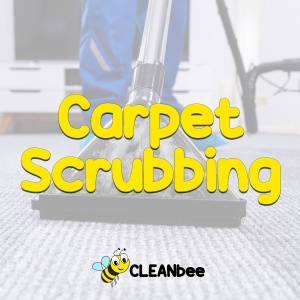 Carpet Scrubbing