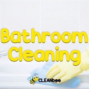 Bathroom Cleaning