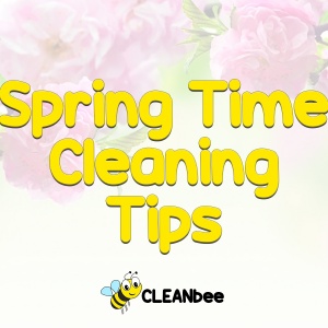 Spring Time Cleaning Tips