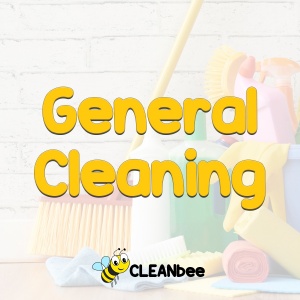 General Cleaning