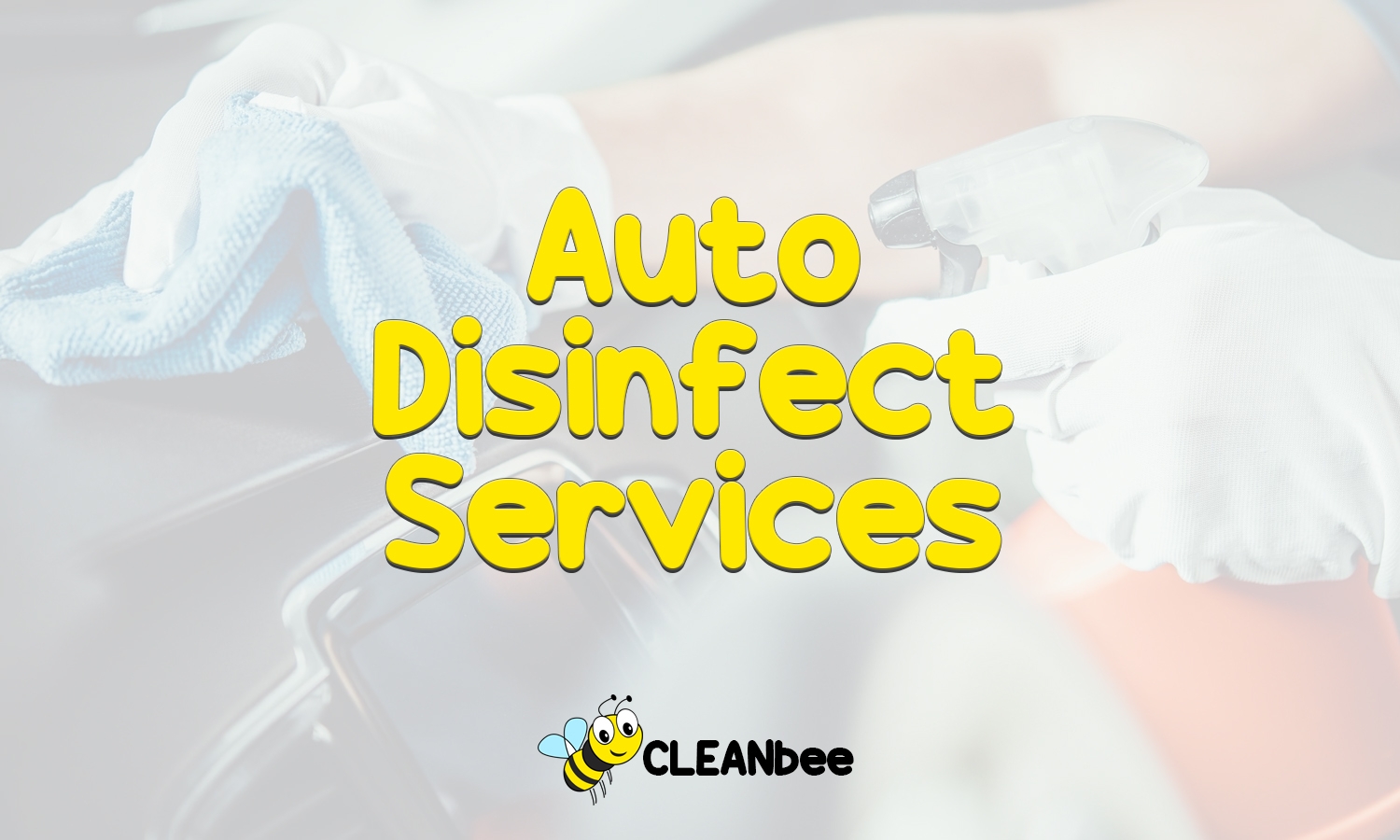 Auto Disinfect Services