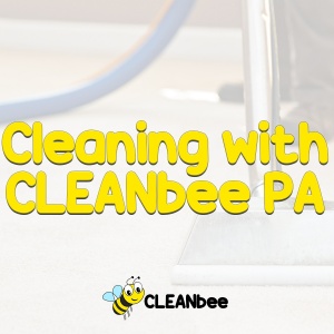 Cleaning with CLEANbee PA