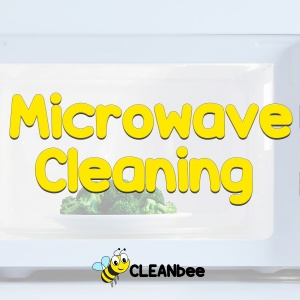 Microwave Cleaning