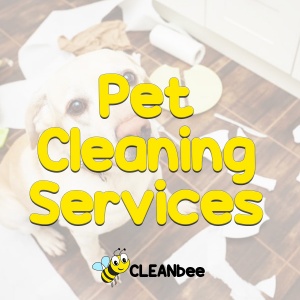 Pet Cleaning Services