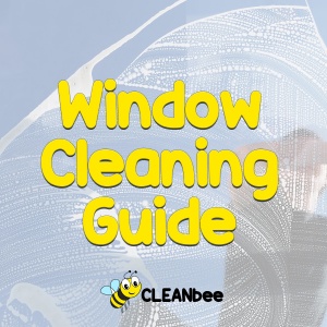 Window Cleaning Guide