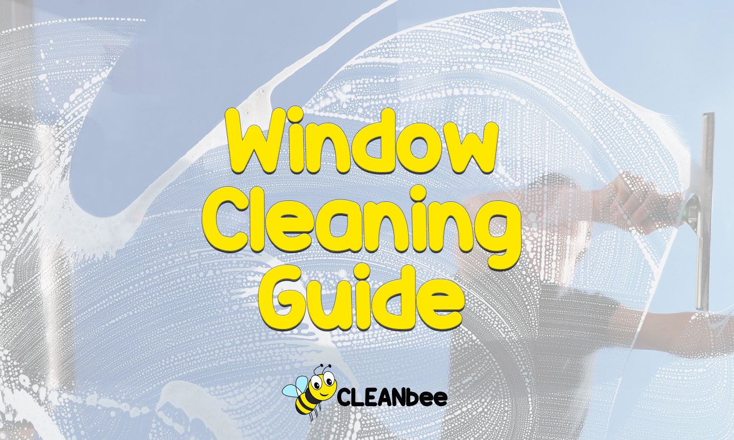 Window Cleaning Guide