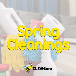 Spring Cleanings