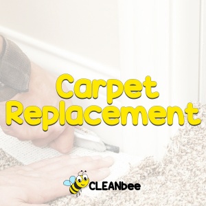 Carpet Replacement