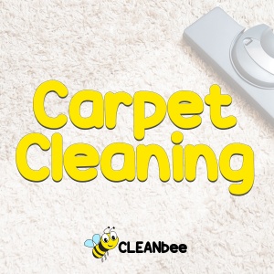 Carpet Cleaning