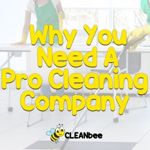 Why You Need A Pro Cleaning Company