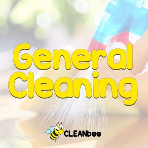 General Cleaning