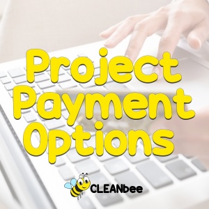 Project Payment Options