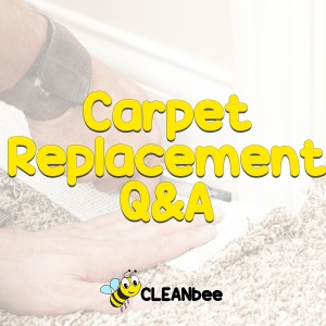 Carpet Replacement Q&A