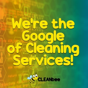 We Are The Google Of Cleaning Services!