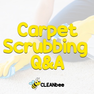 Carpet Scrubbing Q&A