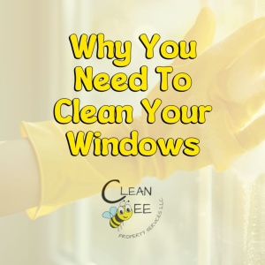 Why You Need To Clean Your Windows