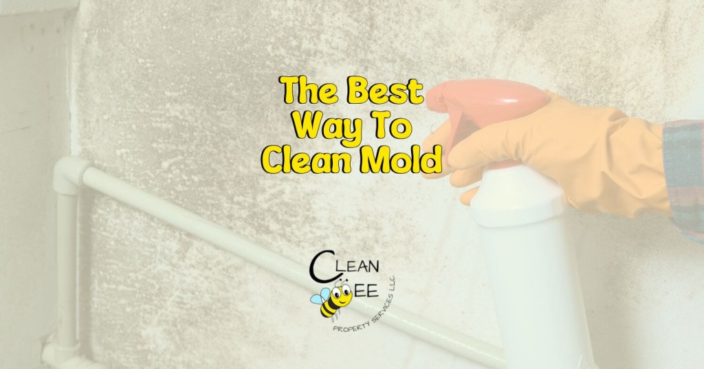 The Best Way To Clean Mold