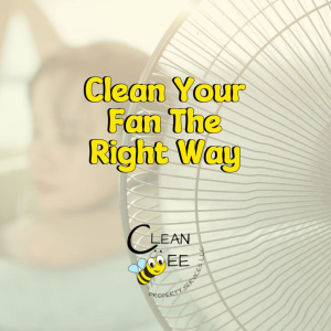 Clean Your Fan The Right Way